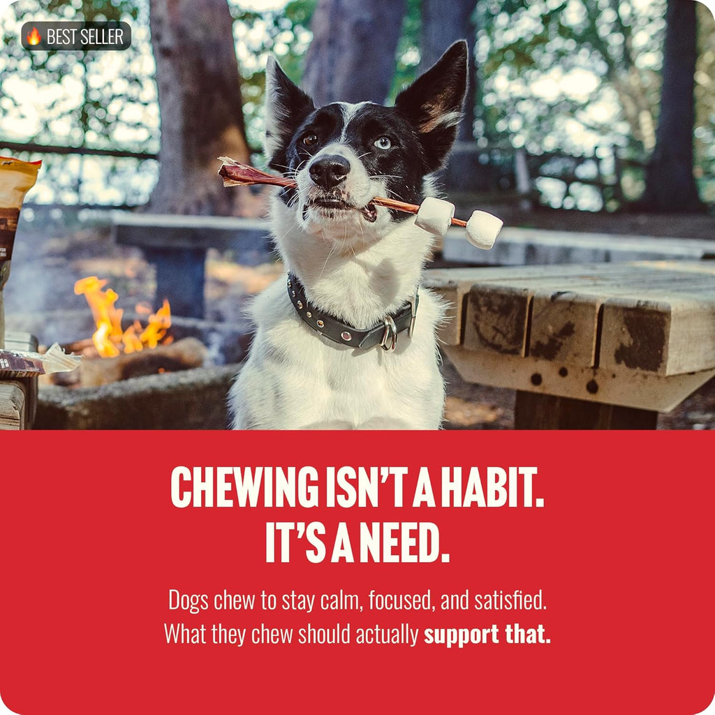 Natural Farm Pixie Bully Sticks (6 Inch, 30 Pack), Thin Pizzle Beef Treats, Grain-Free, High Protein, Best Rawhide Alternative for Small, Puppies or Senior Dogs